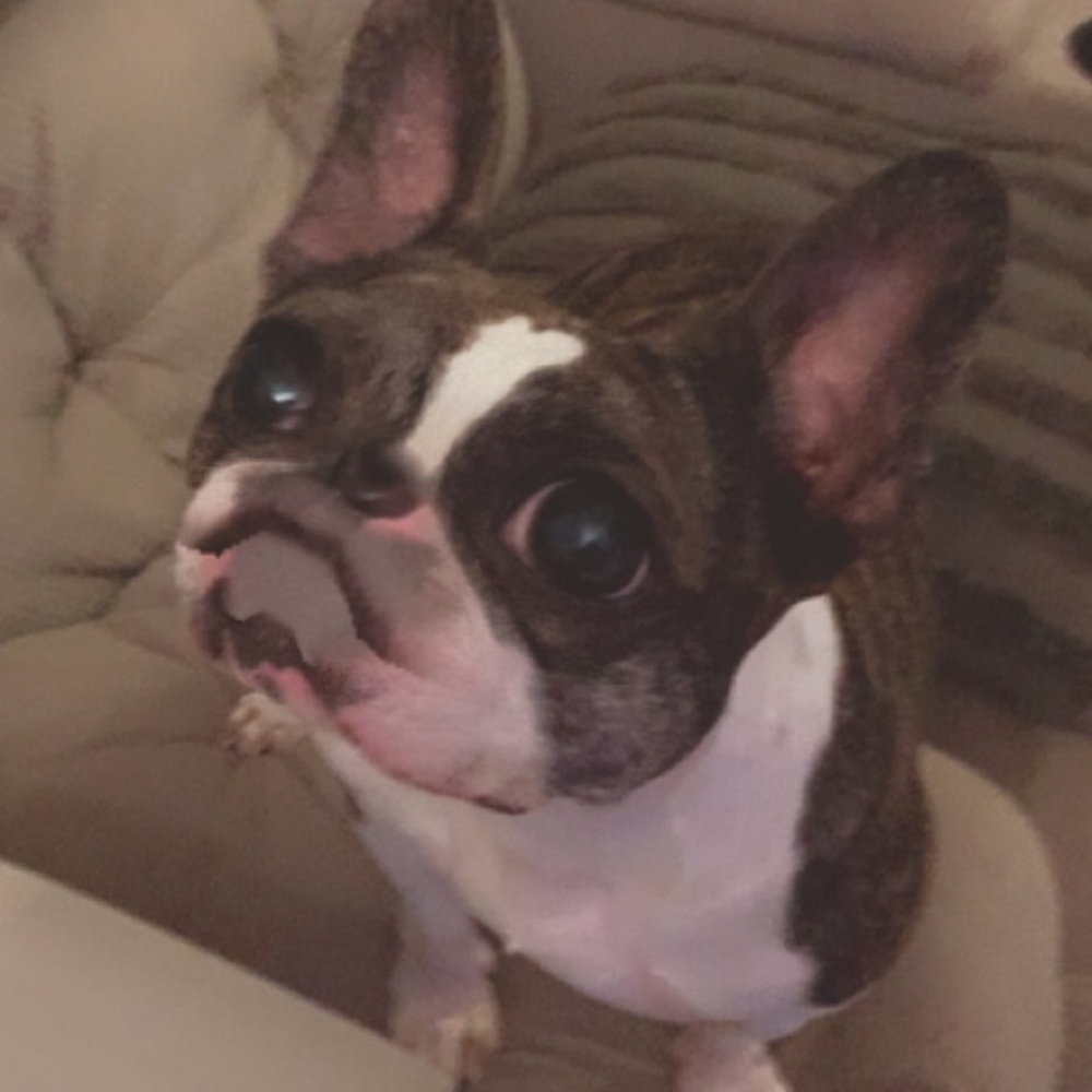 Meet your Posher, Skyler